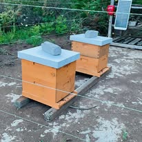 Honey - Local Honey Farms Kingston Ontario