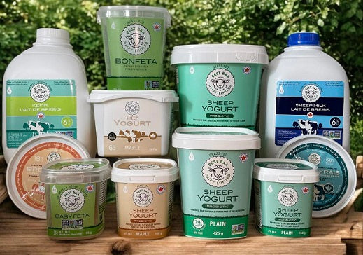 Sheep Dairy Products