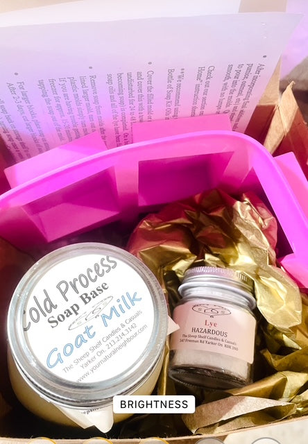 Soaping Making Kit Cold Process Goat Milk