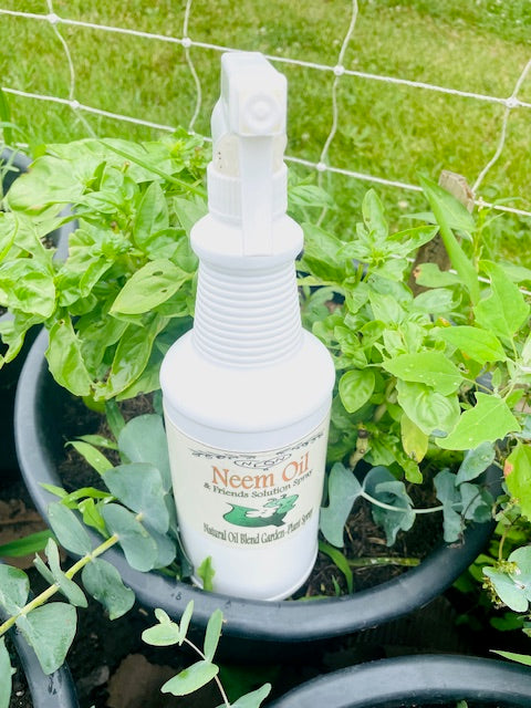 Natural Garden Spray - Neem Oil Garden Spray with Garlic