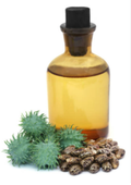 Castor Oil Expeller Pressed