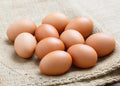 Brown Farm Eggs - Mennonite Ontario farm Eggs